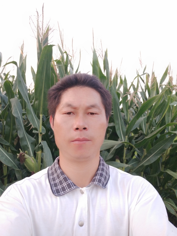 四海游龙的第二张照片--宜城中老年相亲网